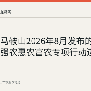 回顾：马鞍山2026年8月发布的数字乡村强农惠农富农专项行动进展