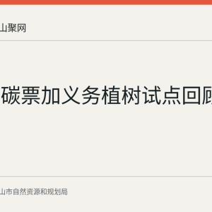 马鞍山碳票加义务植树试点回顾