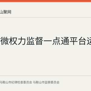 基层小微权力监督一点通平台运行满四年