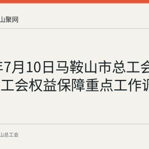2026年7月10日马鞍山市总工会召开全市工会权益保障重点工作调度会