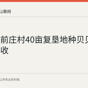 雨山区前庄村40亩复垦地种贝贝南瓜获丰收