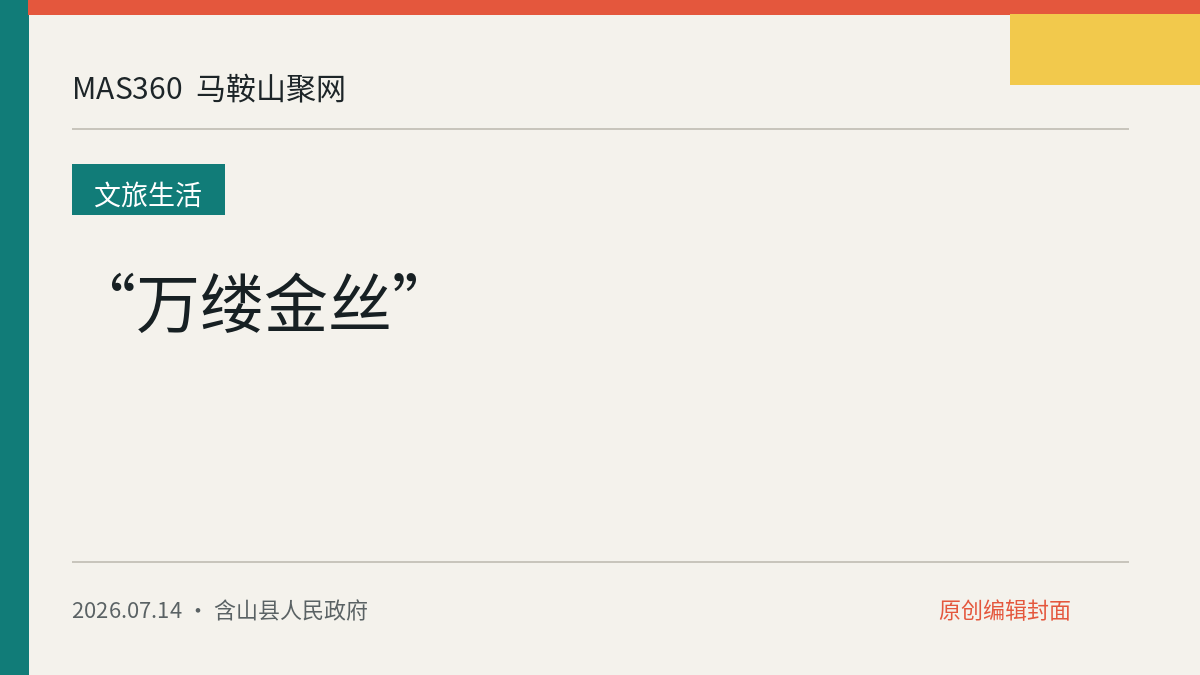 “万缕金丝”
