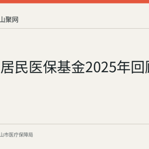 马鞍山居民医保基金2025年回顾
