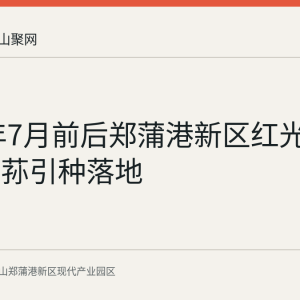 2026年7月前后郑蒲港新区红光村红托竹荪引种落地
