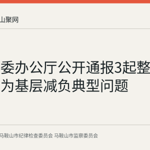 中央纪委办公厅公开通报3起整治形式主义为基层减负典型问题