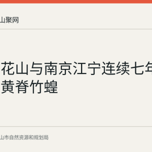 马鞍山花山与南京江宁连续七年联合防治黄脊竹蝗