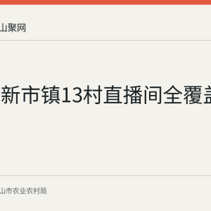 博望区新市镇13村直播间全覆盖一年多