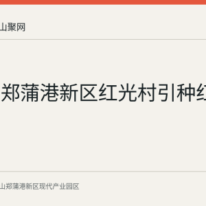 回顾：郑蒲港新区红光村引种红托竹荪
