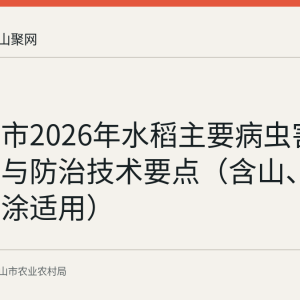 马鞍山市2026年水稻主要病虫害趋势研判与防治技术要点（含山、和县、当涂适用）