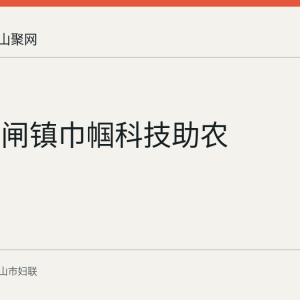 含山铜闸镇巾帼科技助农