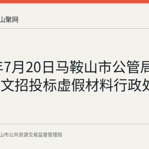 2026年7月20日马鞍山市公管局公布陶泽文招投标虚假材料行政处罚决定