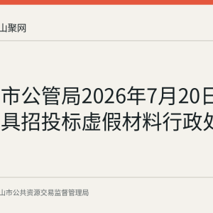 马鞍山市公管局2026年7月20日对戴敏出具招投标虚假材料行政处罚决定书