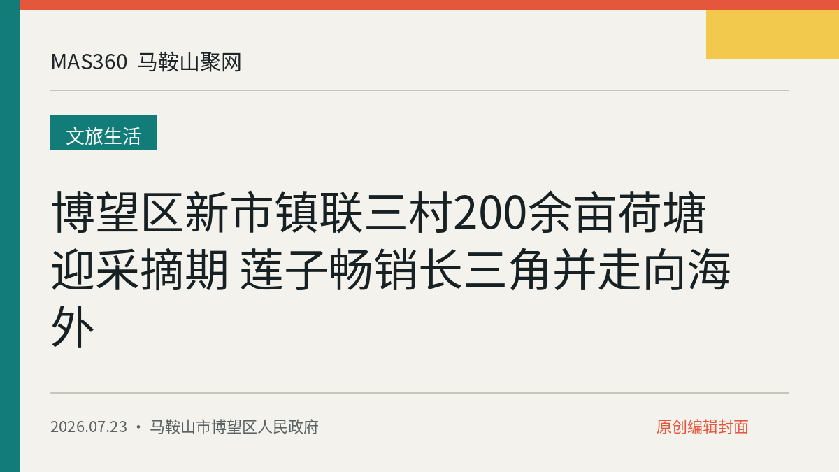 博望区新市镇联三村200余亩荷塘迎采摘期 莲子畅销长三角并走向海外