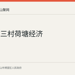 博望联三村荷塘经济