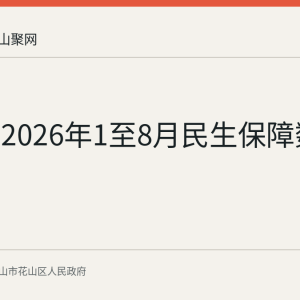 花山区2026年1至8月民生保障数据公布