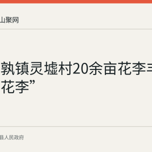 当涂姑孰镇灵墟村20余亩花李丰收 “灵墟花李”