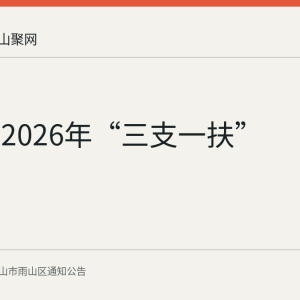 雨山区2026年“三支一扶”