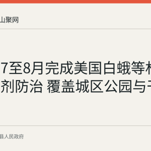 含山县7至8月完成美国白蛾等林业虫害药剂防治 覆盖城区公园与干线林带