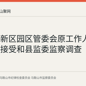 郑蒲港新区园区管委会原工作人员王玺程接受和县监委监察调查