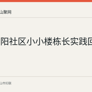 和县朝阳社区小小楼栋长实践回顾