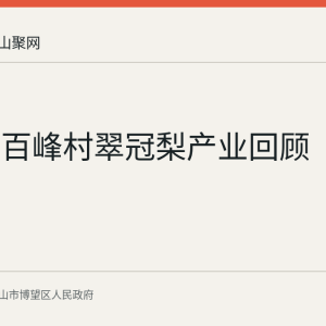丹阳镇百峰村翠冠梨产业回顾