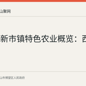 博望区新市镇特色农业概览：西瓜