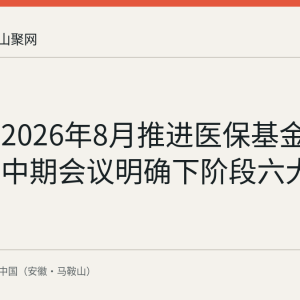 十部门2026年8月推进医保基金专项整治中期会议明确下阶段六大重点
