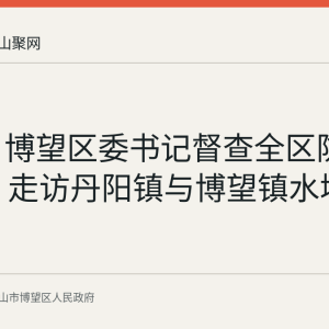 8月7日博望区委书记督查全区防溺水工作 走访丹阳镇与博望镇水域