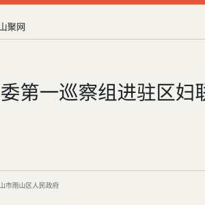 雨山区委第一巡察组进驻区妇联