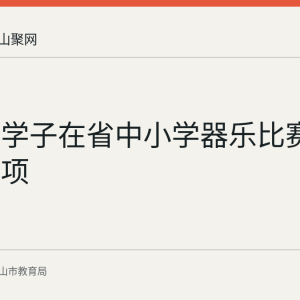 雨山区学子在省中小学器乐比赛获多项奖项