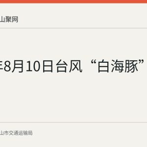 2026年8月10日台风“白海豚”防御