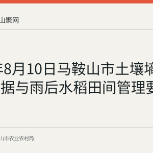 2026年8月10日马鞍山市土壤墒情监测数据与雨后水稻田间管理要点