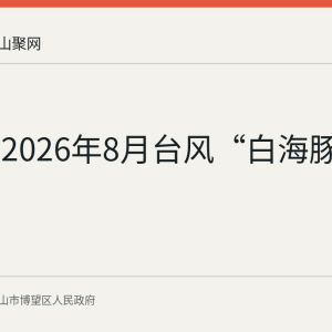 回顾：2026年8月台风“白海豚”