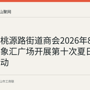 回顾：桃源路街道商会2026年8月7日在印象汇广场开展第十次夏日送清凉活动