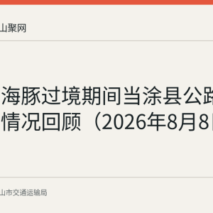 台风白海豚过境期间当涂县公路抢险处置情况回顾（2026年8月8日至10日）