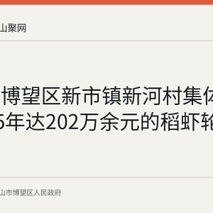 回顾：博望区新市镇新河村集体经济2025年达202万余元的稻虾轮作发展路