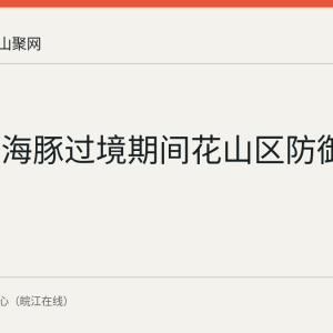 台风白海豚过境期间花山区防御工作回顾