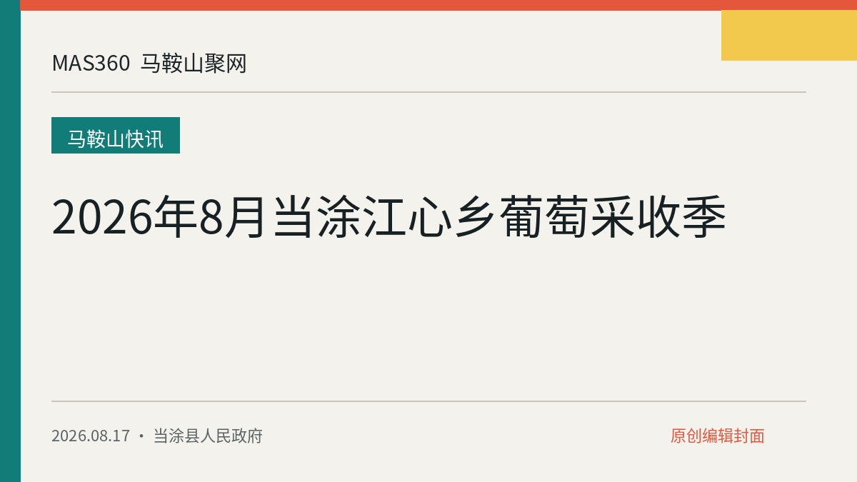 2026年8月当涂江心乡葡萄采收季