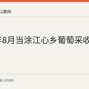 2026年8月当涂江心乡葡萄采收季