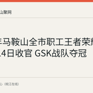 2026年马鞍山全市职工王者荣耀大赛8月14日收官 GSK战队夺冠