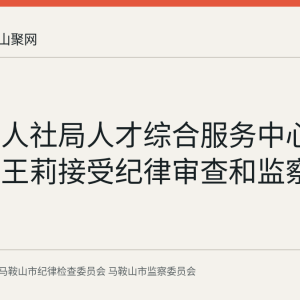 雨山区人社局人才综合服务中心工作人员王莉接受纪律审查和监察调查
