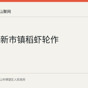 博望区新市镇稻虾轮作