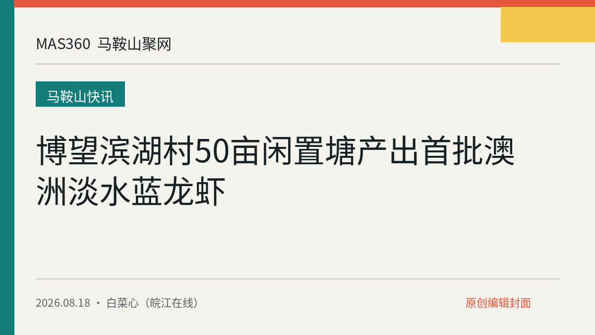 博望滨湖村50亩闲置塘产出首批澳洲淡水蓝龙虾
