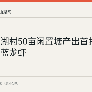 博望滨湖村50亩闲置塘产出首批澳洲淡水蓝龙虾