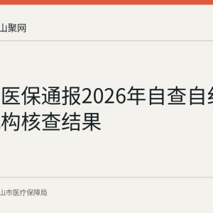 马鞍山医保通报2026年自查自纠零报告机构核查结果