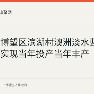 回顾：博望区滨湖村澳洲淡水蓝龙虾项目实现当年投产当年丰产