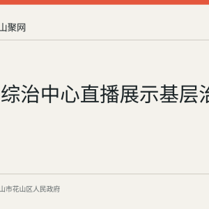 濮塘镇综治中心直播展示基层治理