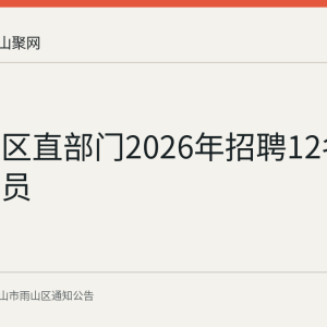雨山区区直部门2026年招聘12名派遣制人员