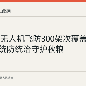 运漕镇无人机飞防300架次覆盖超2.5万亩 统防统治守护秋粮