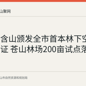 马鞍山含山颁发全市首本林下空间经营权证 苍山林场200亩试点落地